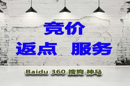 SEM竞价实战技巧，案例讲解与应用